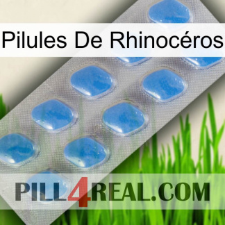 Pilules De Rhinocéros 22